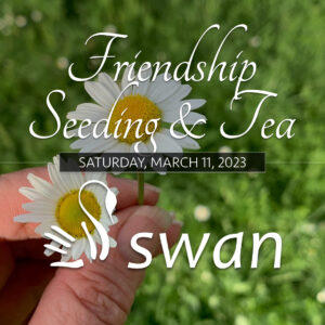 Friendship Seeding & Tea, Saturday, March 11, 2023