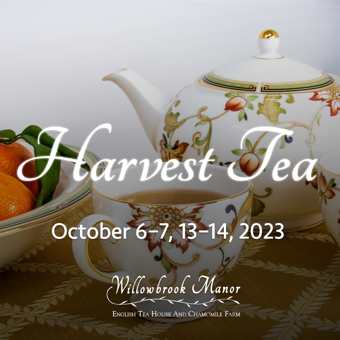 Harvest Tea: October 6–7, 13–14, 2023 at Willowbrook Manor English Tea House and Chamomile Farm