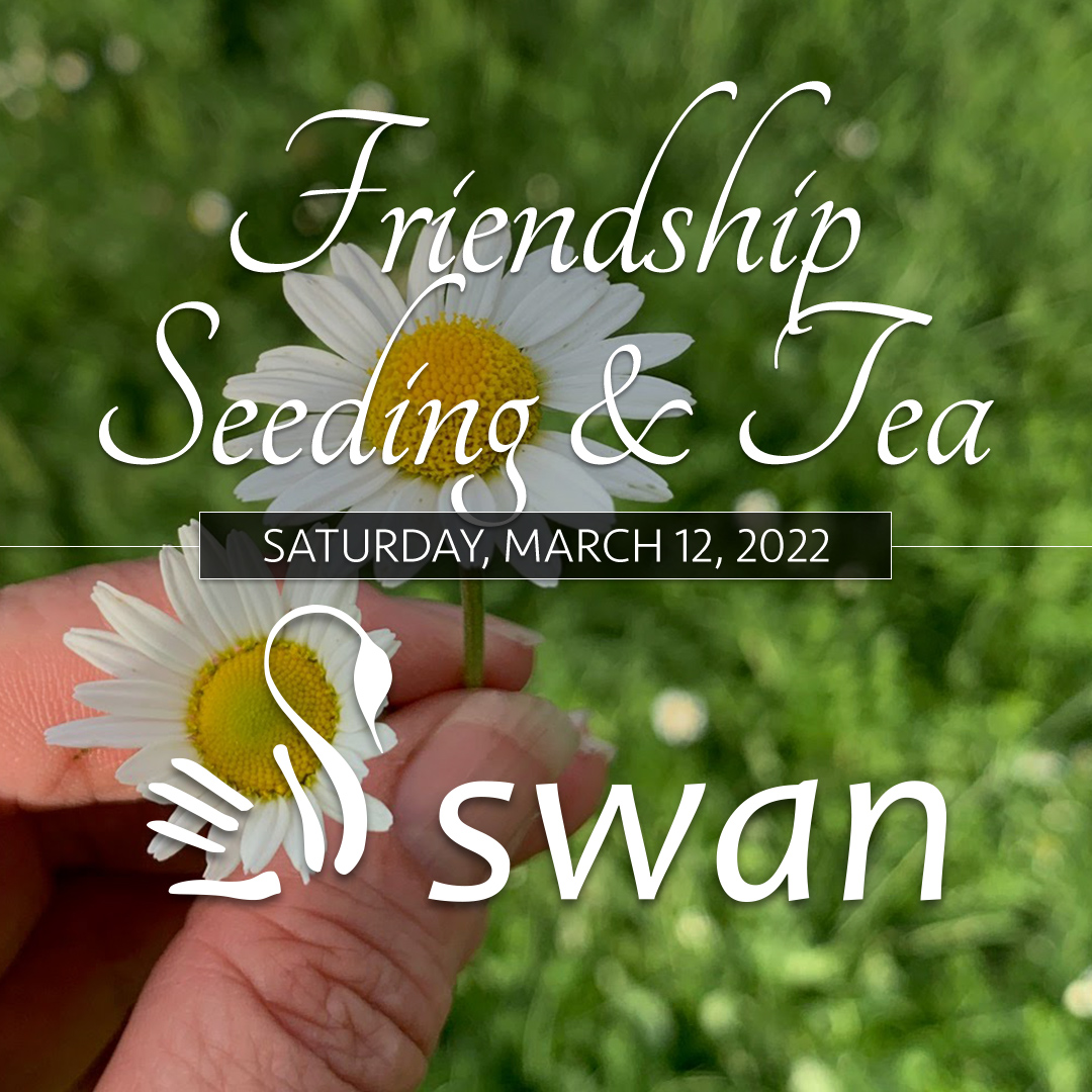 Friendship Seeding & Tea, Saturday, March 12, 2022