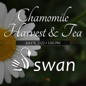 Chamomile Harvest & Tea • July 9, 2022 at 1:00 PM